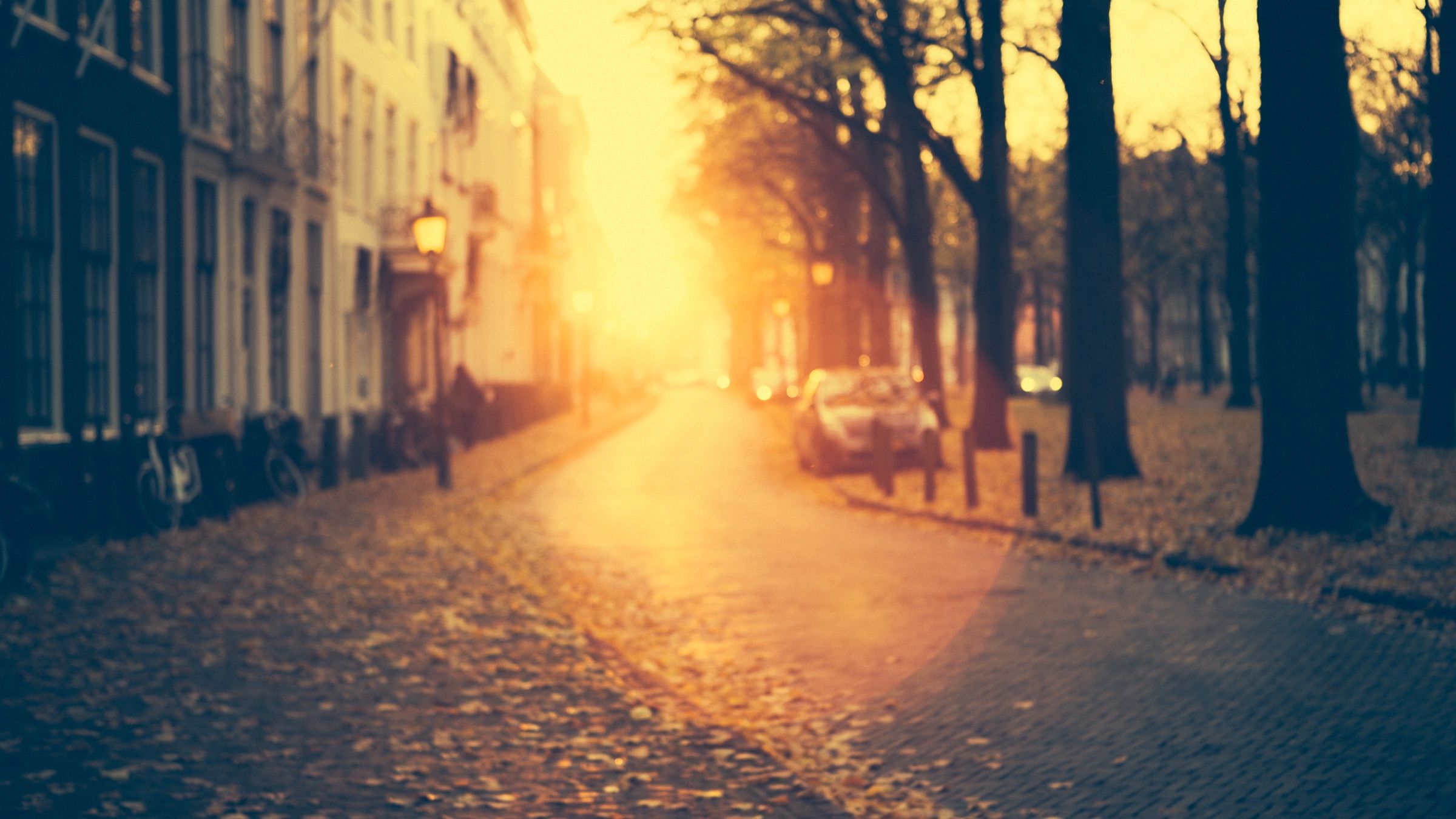 Low sun floods a street of old houses, the trees in silhouette.