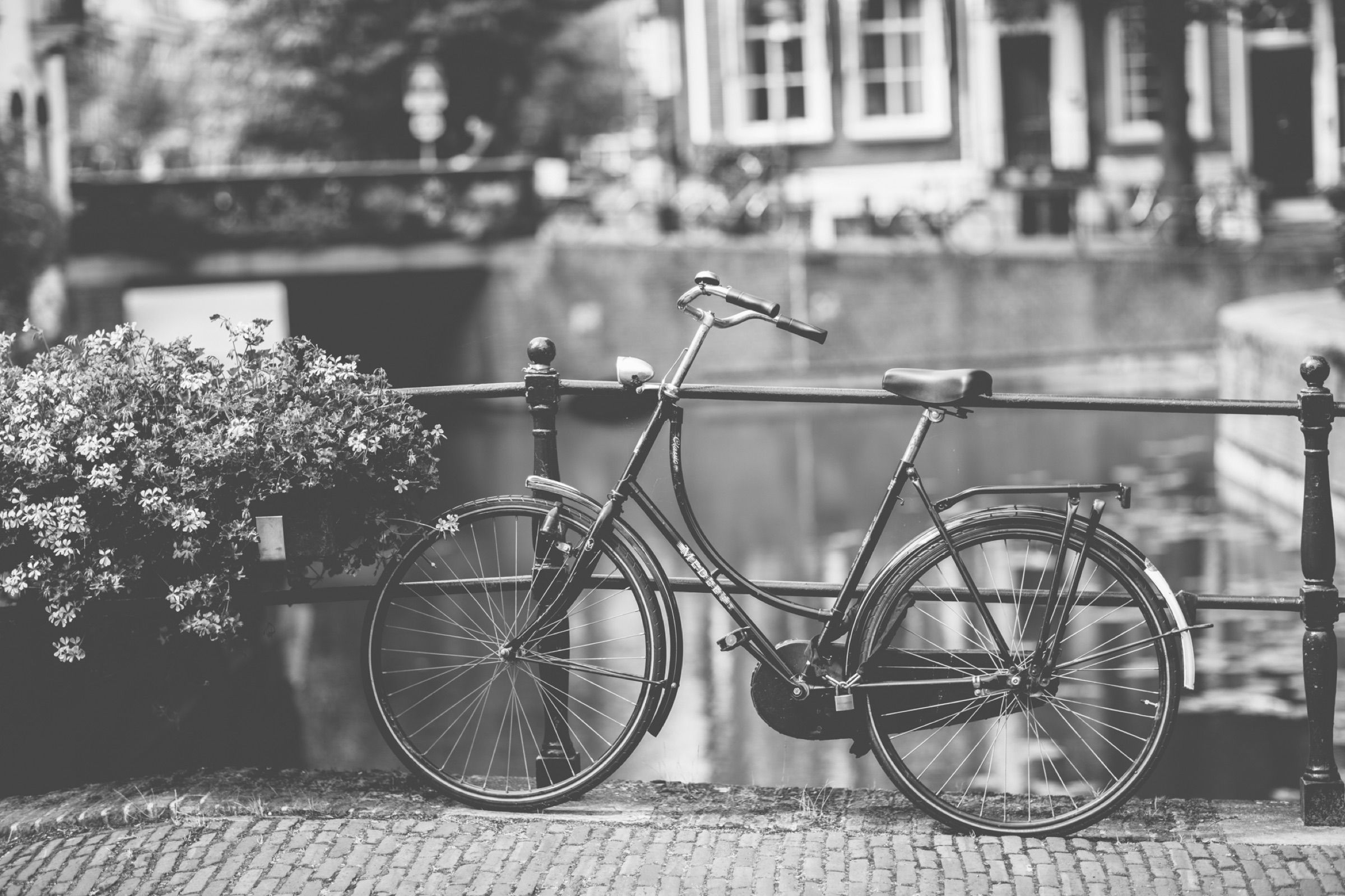 Zwart-wit: een fiets staat tegen een grachtenhek naast bloembakken.
