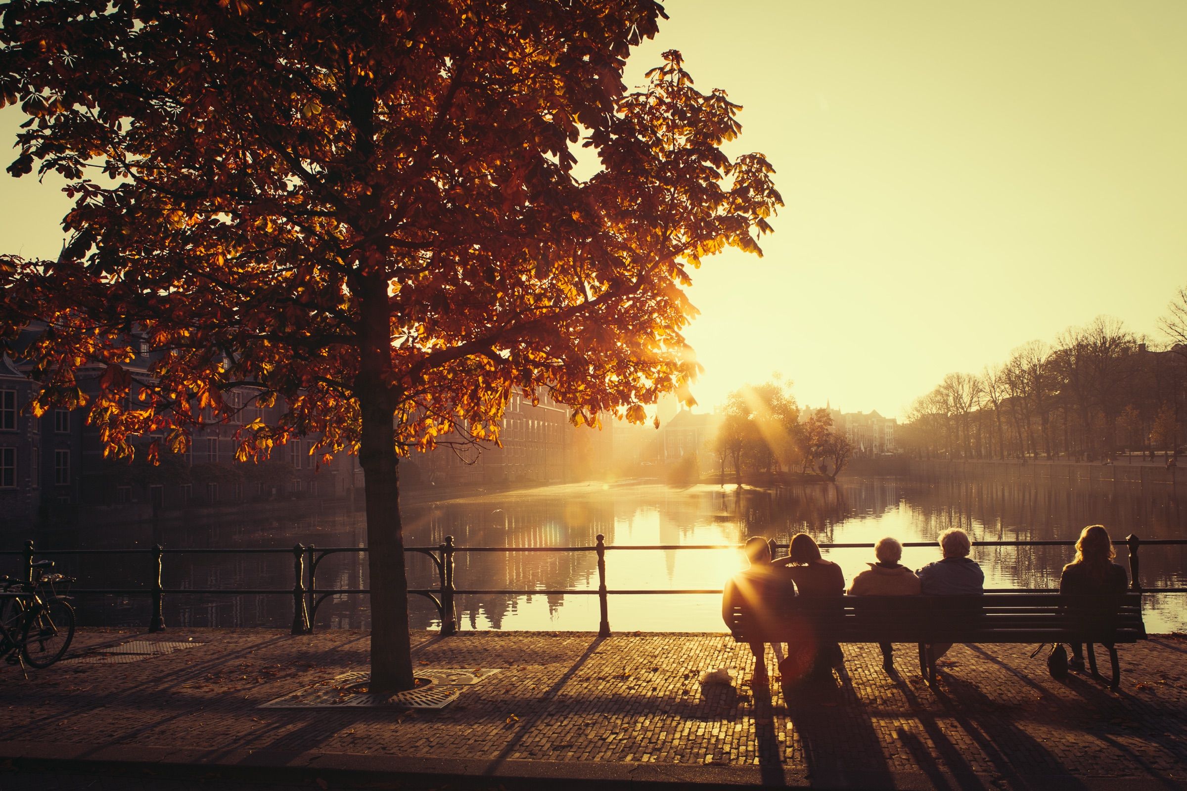 Mensen zitten op bankjes aan een meer in het gouden uur, onder een herfstboom.